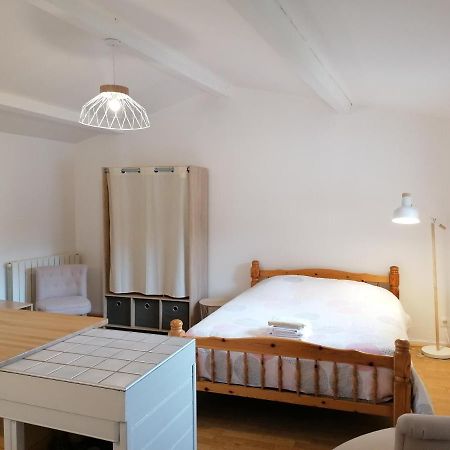 Studio avec balcon au pied du Rocher d'Aiguilhe Appartamento Le Puy-en-Velay Esterno foto